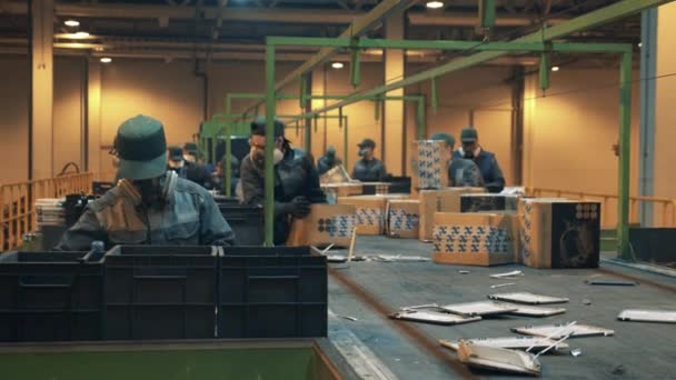 Рабочие фабрики сортируют коробки и сломанную электронику — стоковое видео