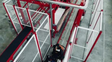 Domatesler endüstriyel yapıya taşınıyor. Endüstriyel ambalaj malzemeleri, fabrika.