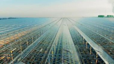 Tarımsal alanların sıraları dışarıdan çekiliyor. Seraların hava manzarası, endüstriyel cam evin destansı manzarası..