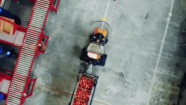 Industriële trolley vervoert tomaten in een bovenaanzicht — Stockvideo
