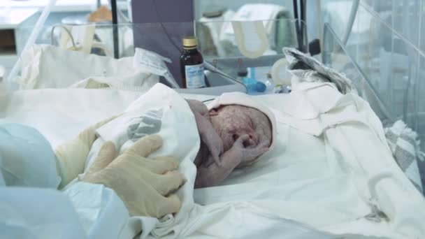 En sjuksköterska tar hand om ett nyfött barn på ett sjukhus. — Stockvideo