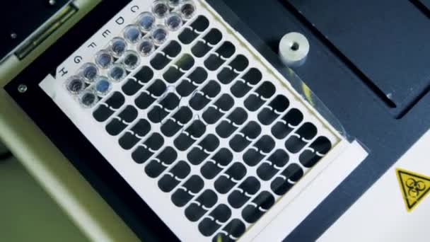 Covid-19 Coronavirus Nachweisverfahren. Draufsicht auf eine Schüttelschale mit chemischen Sonden — Stockvideo