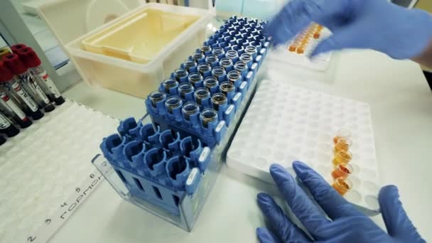 Covid-19, coronavírus, coronavírus. Especialista em laboratório está realocando pequenos tubos de ensaio com amostras líquidas — Vídeo de Stock