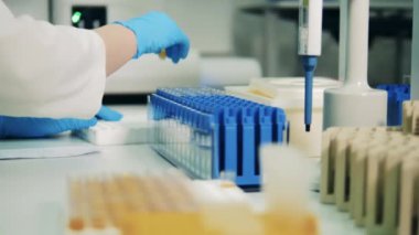Coronavirus, covid-19 laboratuvar testi. Küçük test tüpleri laboratuvar kabına konuyor.