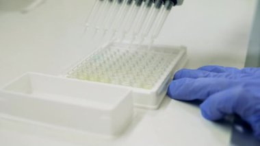 Cam tüpleri sıvılarla doldurmak için laboratuvar aracı kullanılıyor