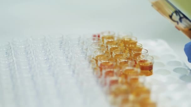 Close up of test tubes getting filled with plasma. Coronavirus, covid-19 laboratory test. — Stock Video