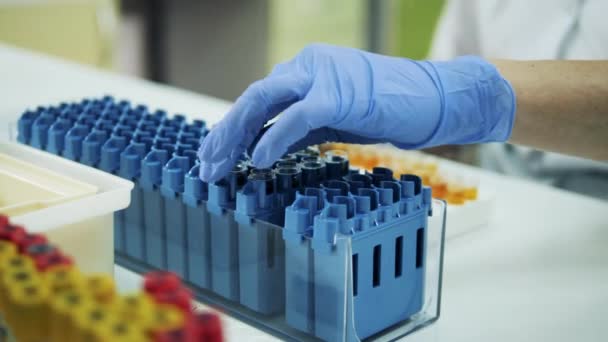Laborspezialist legt kleine Reagenzgläser in ein Tablett — Stockvideo