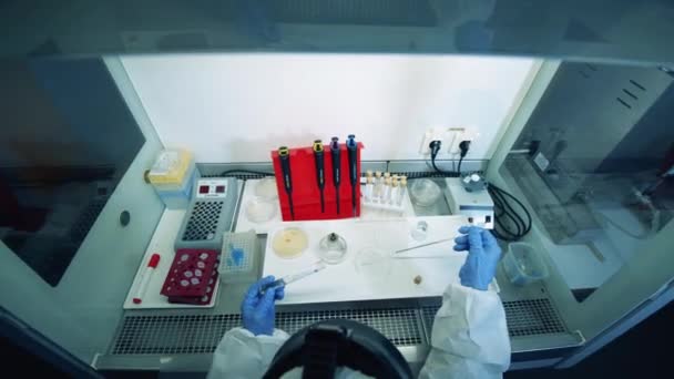 Un biólogo realiza experimentos en laboratorio mientras investiga el coronavirus . — Vídeos de Stock