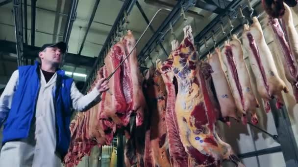 Açougueiro está movendo carcaças de carne com um gancho — Vídeo de Stock