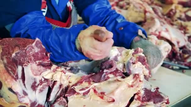 Un carnicero está cortando la carne. — Vídeo de stock