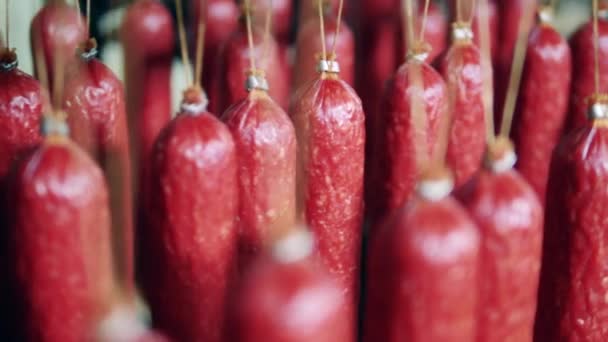 Armazenamento de produtos à base de carne. Salsichas de salame múltiplas estão penduradas dentro — Vídeo de Stock
