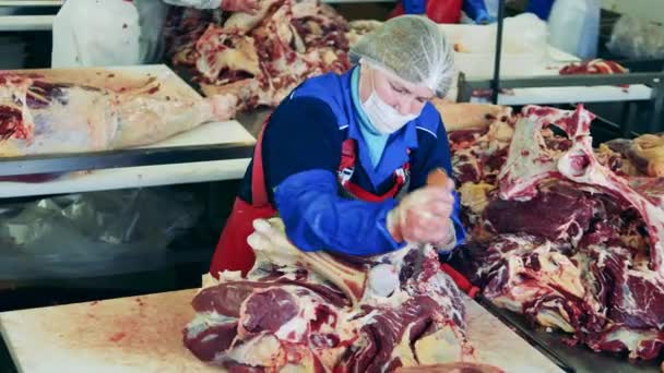 Un gran pedazo de carne está siendo masacrada por un trabajador de la fábrica — Vídeo de stock