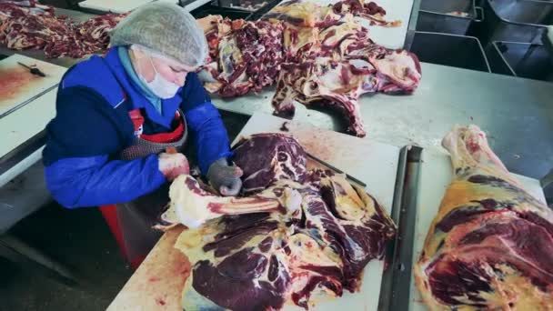 Female worker is dressing a piece of meat — Stock Video