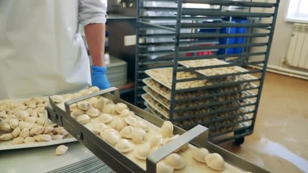 Trabajador de fábrica está reubicando una bandeja con albóndigas recién hechas — Vídeo de stock