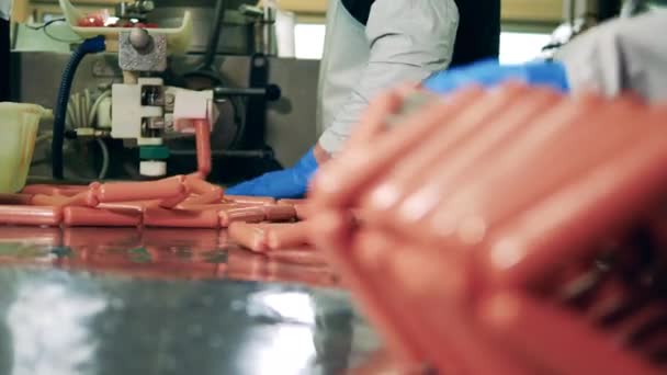 Les saucisses sont fabriquées sous le contrôle des ouvriers d'usine — Video