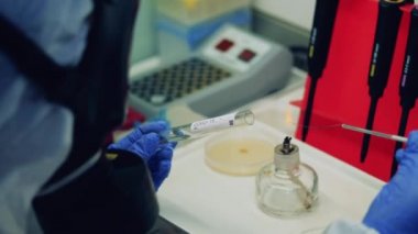 Bilim adamları Covid-19 ve Coronavirus 'un örneklerini test ediyorlar. Sıvı madde covid-19 için test ediliyor.