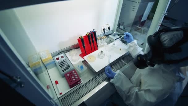 Scienziato professionista lavora con coronavirus per creare un vaccino . — Video Stock