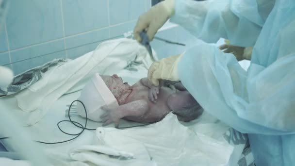 의사가 신생아를 치료하고 있습니다 — 비디오