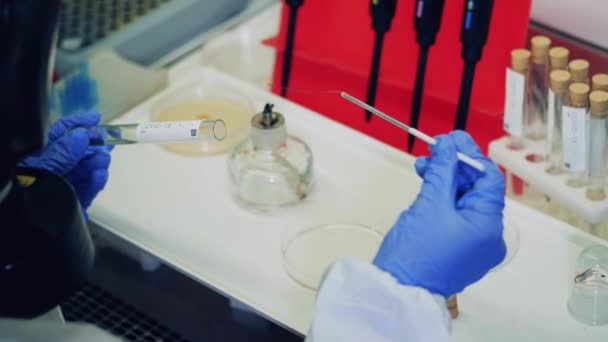 Een laboratoriummedewerker werkt aan een vaccin tegen coronavirus. — Stockvideo