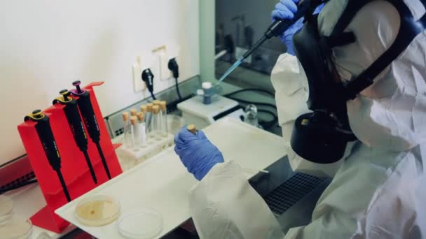 Лабораторный ученый работает над вакциной против ковида-19. Концепция коронавируса, ковид-19, 2019-нков . — стоковое видео