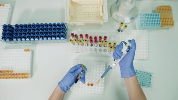 Un trabajador de laboratorio vierte plasma en tubos de vidrio — Vídeo de stock