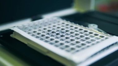 Laboratuvar aygıtında kontrol edilen örneklerle birlikte tepsi.