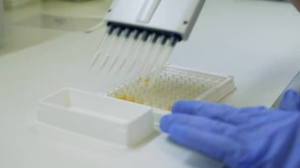 Pessoa trabalha com amostras em laboratório . — Vídeo de Stock