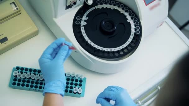 Laboratoriummedewerker belast centrifuge met monsters. — Stockvideo