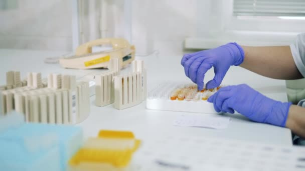 El trabajador médico pone muestras en la bandeja en el laboratorio. Prueba de Covid-19, concepto de vacunación de covid-19 . — Vídeo de stock