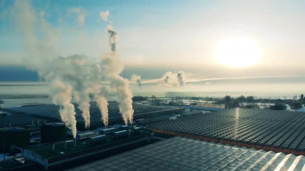 Usine industrielle avec des usines dans la zone industrielle . — Video