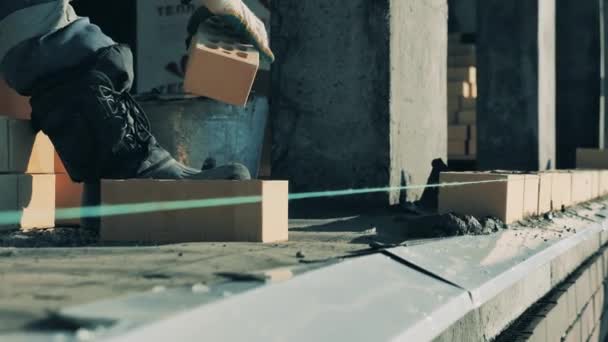 Un trabajador está echando ladrillos sobre cemento fresco. Trabajador de la construcción en un sitio de construcción . — Vídeos de Stock