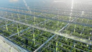 Bitkileri ve şeffaf çatısı olan devasa bir yeşillik.