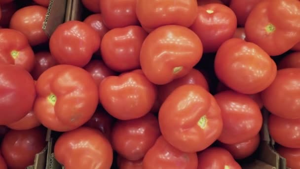 Tomates maduros em caixas. Fechar . — Vídeo de Stock