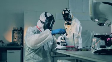 Laboratuvar çalışanları bir koronavirüs aşısı geliştiriyor. Antikorları araştırıyorlar..