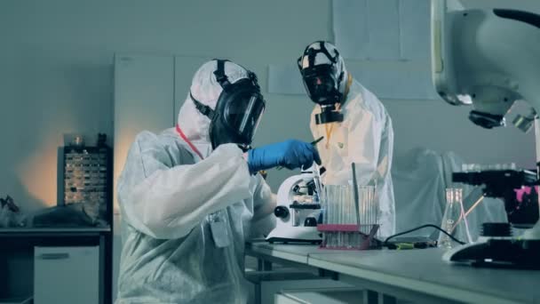 Laboratory workers develop a coronavirus vaccine, researching antibodies. — Stock Video