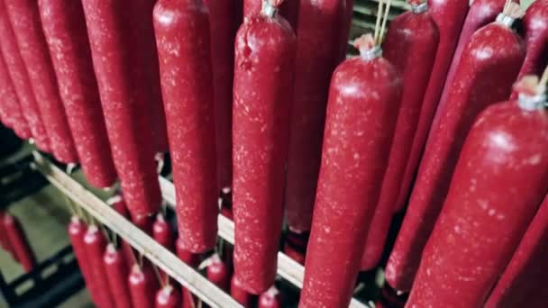 Opslagruimte met gerookte worsten erin. Voedingsfabriek magazijn met verpakte vleesproducten. — Stockvideo