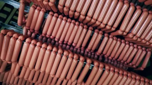 Unité de stockage avec beaucoup de saucisses fraîches. Entrepôt d'usine alimentaire avec produits de viande emballés . — Video