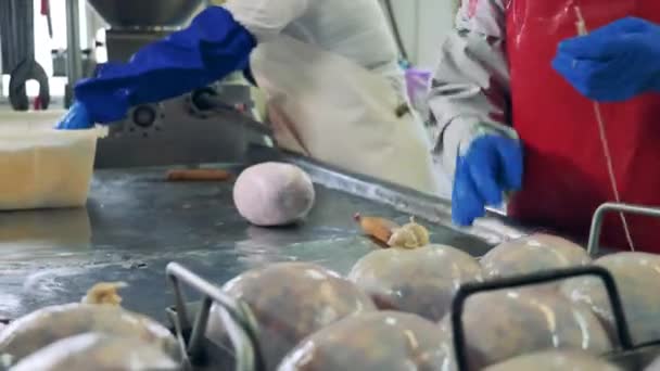 Giblets worden verpakt in omhulsel door fabrieksarbeiders — Stockvideo