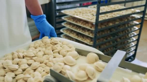 Il lavoratore della fabbrica sta trasferendo gli gnocchi caduti dal trasportatore — Video Stock