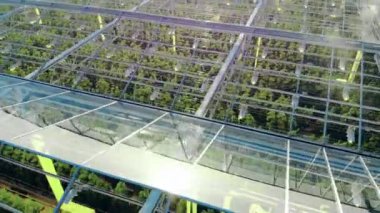 İçinde bitkiler büyüyen devasa bir cam ev.