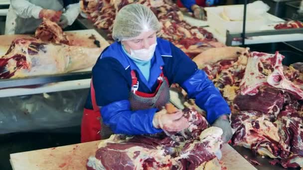 La trabajadora está tallando un hueso de un trozo de carne — Vídeos de Stock