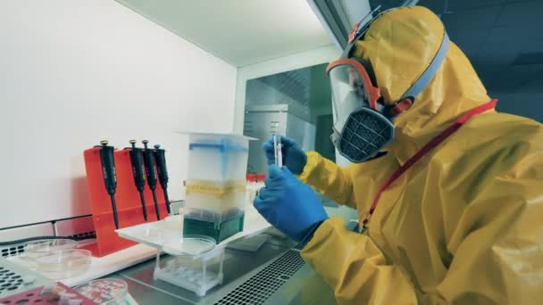 在实验室里，一名穿着危险物品的男子与考拉病毒抗体一起工作. — 图库视频影像
