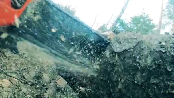 Acercamiento de una motosierra cortando un cuerpo de árbol — Vídeos de Stock