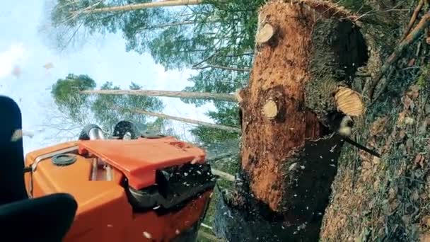 Electric saw is being used to cut timber — Stock Video