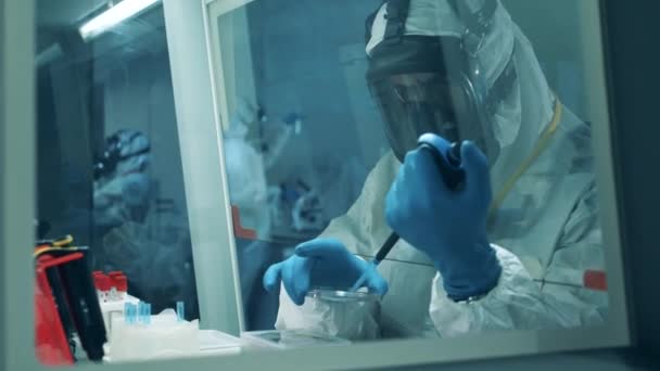 Um virologista usa pipeta enquanto trabalha com anticorpos covid-19 . — Vídeo de Stock