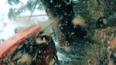 Elektrikli testere ağacı parçalara ayırmak için kullanılır.