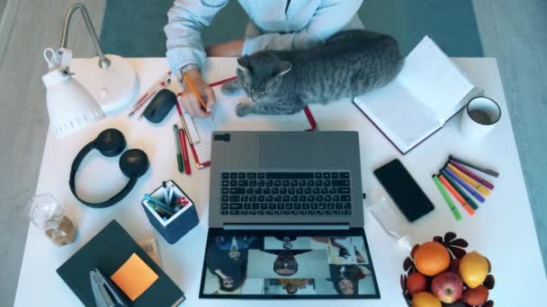 A desk with stationery, laptop and a cat during online meeting — Stock Video