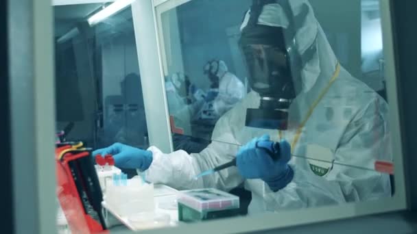 Covid-19, concepto de coronavirus. Experto en laboratorio está analizando una muestra química en el cuántico — Vídeo de stock