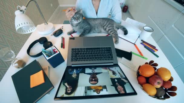 Travailleuse parle à ses collègues via un ordinateur portable tandis que son chat se trouve sur son bureau . — Video