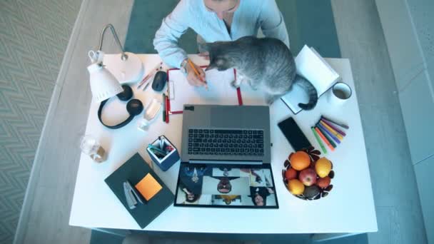 Flicka med katt fungerar på laptop under pandemi. — Stockvideo